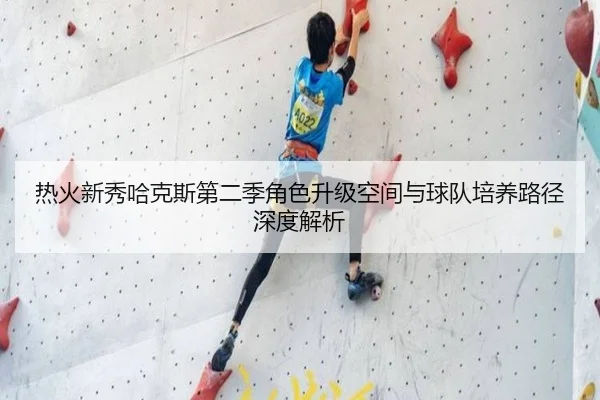 热火新秀哈克斯第二季角色升级空间与球队培养路径深度解析